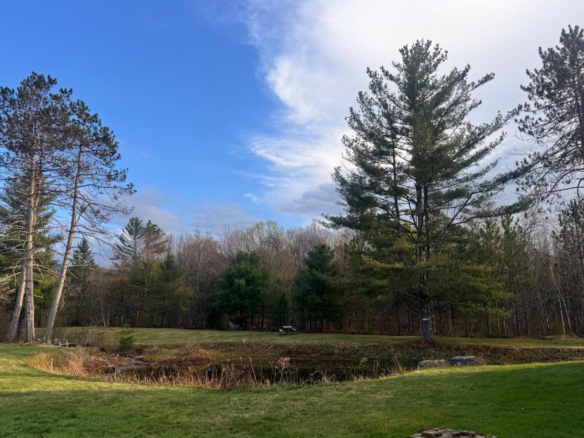 Stonybrook Motel & Lodge Franconia Dış mekan fotoğraf